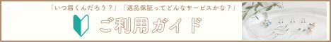 三日月ピアスの軸とアレルギー説明