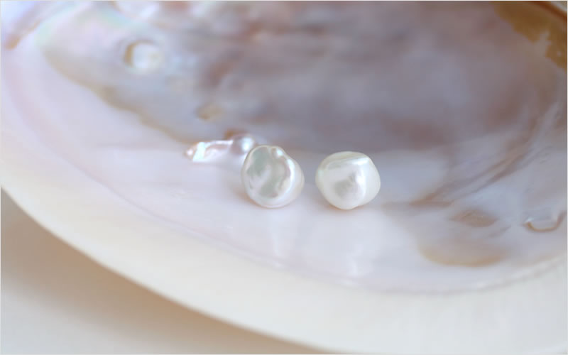 サムネイル画像a浄化貝と淡水バロックパール